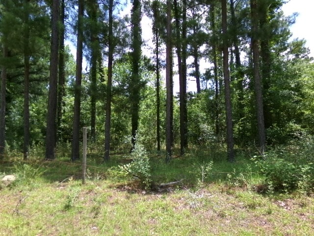 7647 Oscar Cir, Donalsonville, GA 39845 - photo 3