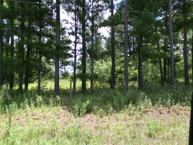 7647 Oscar Cir, Donalsonville, GA 39845 - photo 5