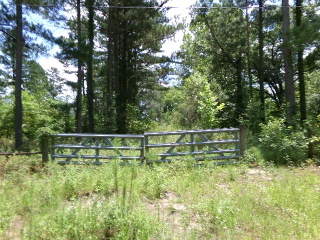 7647 Oscar Cir, Donalsonville, GA 39845 - photo 1
