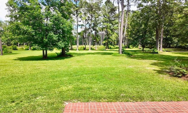200 Sawgrass Ln, Thomasville, GA 31757 - view of green lawn featuring view of scattered trees
