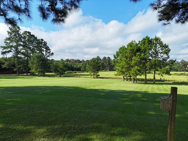 1254 Big Creek Rd, Meigs, GA 31765 - photo 27