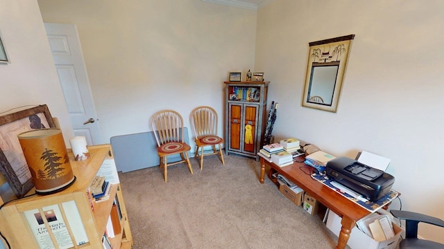 1254 Big Creek Rd, Meigs, GA 31765 - photo 25