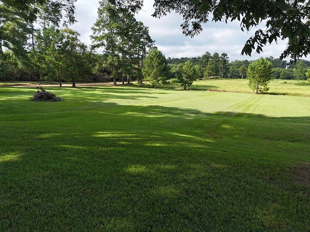1254 Big Creek Rd, Meigs, GA 31765 - photo 46