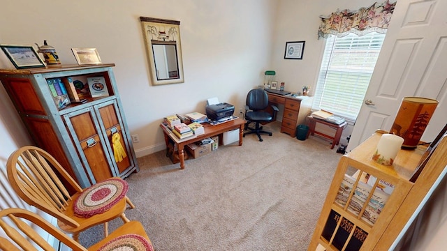 1254 Big Creek Rd, Meigs, GA 31765 - photo 24