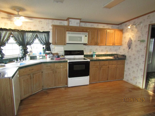 kitchen featuring crown molding, tile counters, light wood-type flooring, and range with electric stovetop