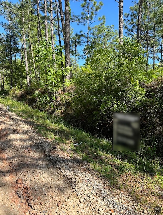 00 Dell Rd, Bainbridge, GA 39819 - photo 1