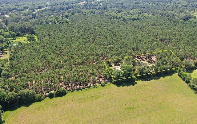6715 Stewart Rd, Ochlocknee, GA 31773 - view of property location featuring a heavily wooded area and property boundaries highlighted