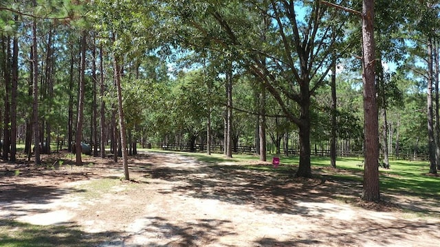 6715 Stewart Rd, Ochlocknee, GA 31773 - view of dirt / gravel road featuring a view of trees