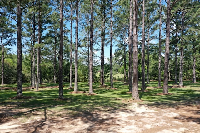 6715 Stewart Rd, Ochlocknee, GA 31773 - view of nature