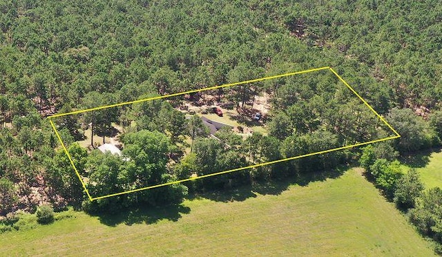 6715 Stewart Rd, Ochlocknee, GA 31773 - aerial view of property's location with property boundaries highlighted and a forest