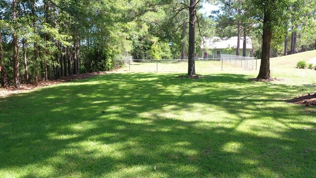6715 Stewart Rd, Ochlocknee, GA 31773 - view of yard