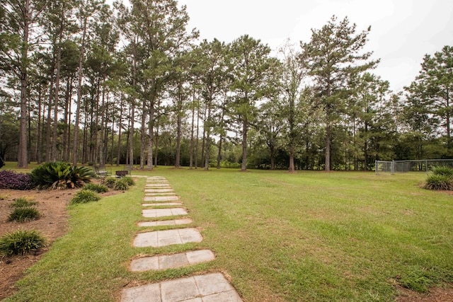 6715 Stewart Rd, Ochlocknee, GA 31773 - view of yard