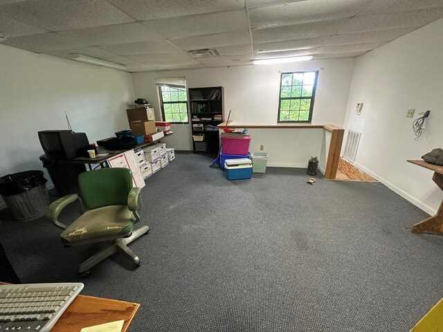 6715 Stewart Rd, Ochlocknee, GA 31773 - carpeted office space featuring a drop ceiling, healthy amount of natural light, and baseboards
