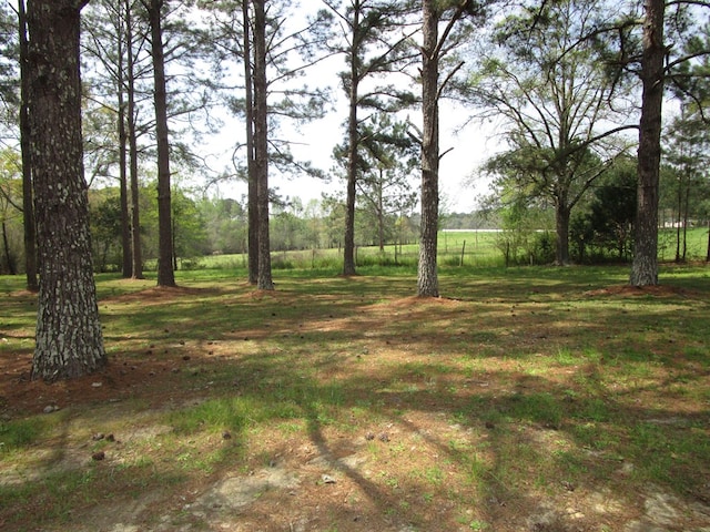 6715 Stewart Rd, Ochlocknee, GA 31773 - view of yard
