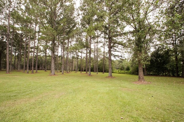 6715 Stewart Rd, Ochlocknee, GA 31773 - view of green lawn
