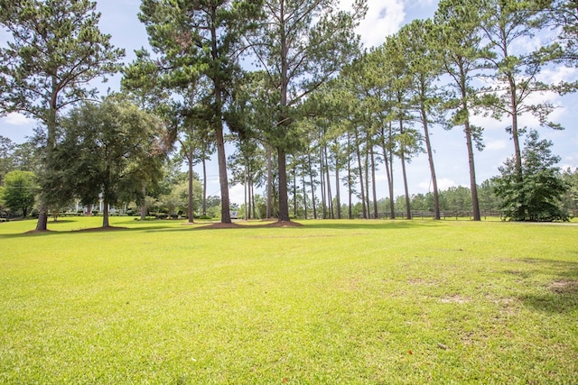 454 Fox Meadow Ln, Thomasville, GA 31757 - photo 5