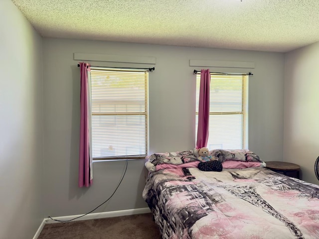 1197 Jo Ree St, Valdosta, GA 31601 - bedroom with carpet, a textured ceiling, and multiple windows