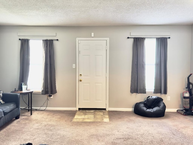 1197 Jo Ree St, Valdosta, GA 31601 - carpeted foyer entrance with plenty of natural light and a textured ceiling