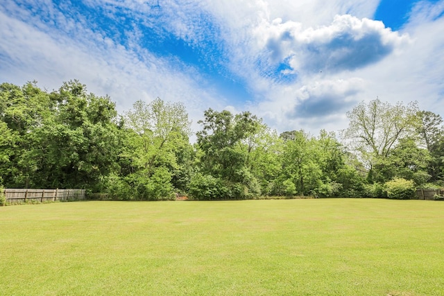 351 Virginia Cir, Cairo, GA 39828 - view of yard