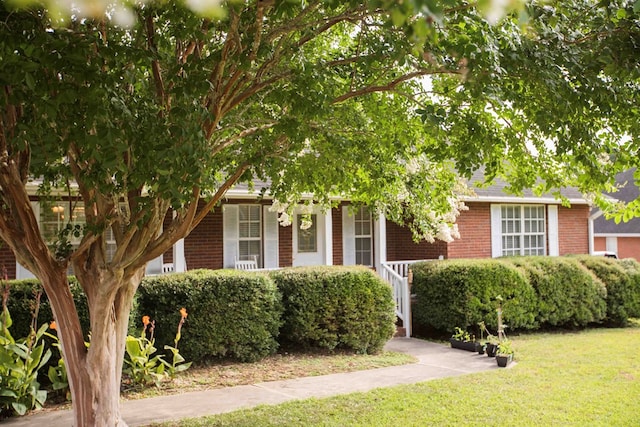 view of property hidden behind natural elements featuring a front yard