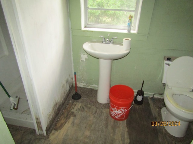 bathroom featuring hardwood / wood-style flooring, toilet, and sink