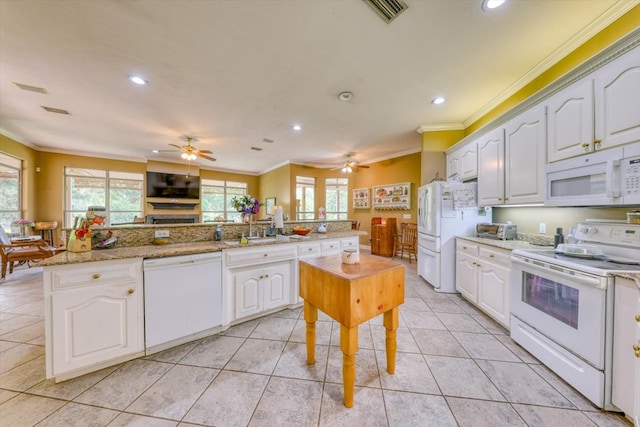 233 Fox Meadow Ln, Thomasville, GA 31757 - kitchen with white appliances, a ceiling fan, ornamental molding, plenty of natural light, and a sink