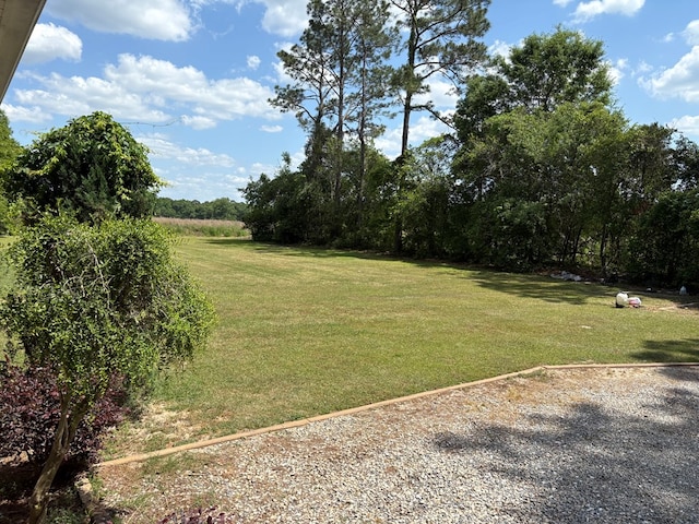 3794 Pine Park Rd, Cairo, GA 31778 - view of yard