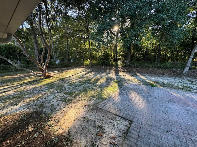 view of yard featuring a patio area