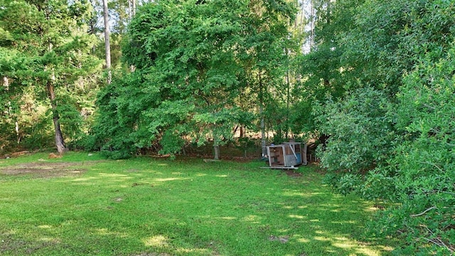 107 Mossy Creek Way, Ochlocknee, GA 31773 - photo 61