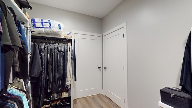 walk in closet with light wood-type flooring