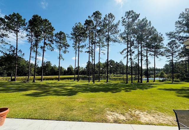 103 Sandy Creek Ln, Thomasville, GA 31757 - photo 37
