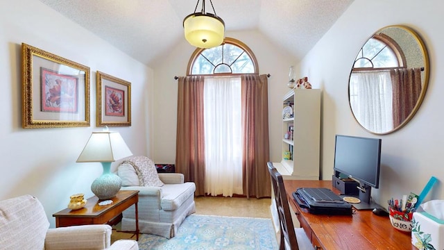 office featuring lofted ceiling, carpet floors, and a textured ceiling