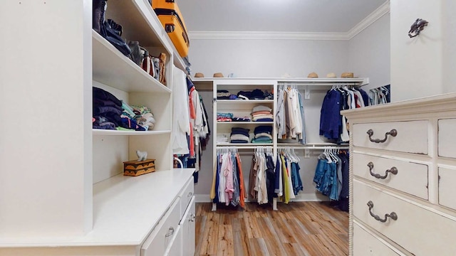 7827 Metcalf Rd, Thomasville, GA 31792 - walk in closet featuring light wood-style floors