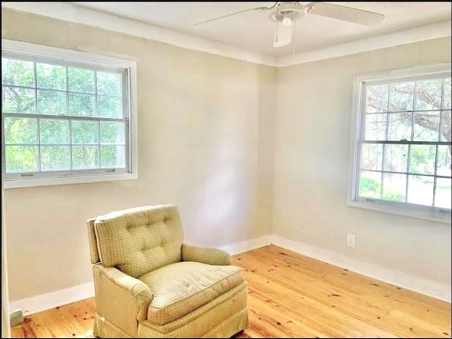 622 Marshall St, Thomasville, GA 31792 - photo 13