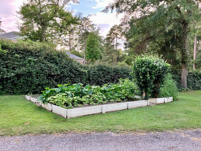 view of yard featuring a vegetable garden