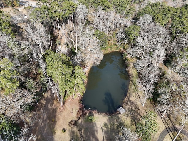 aerial view with a forest view