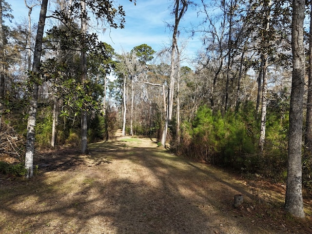 view of road with a view of trees