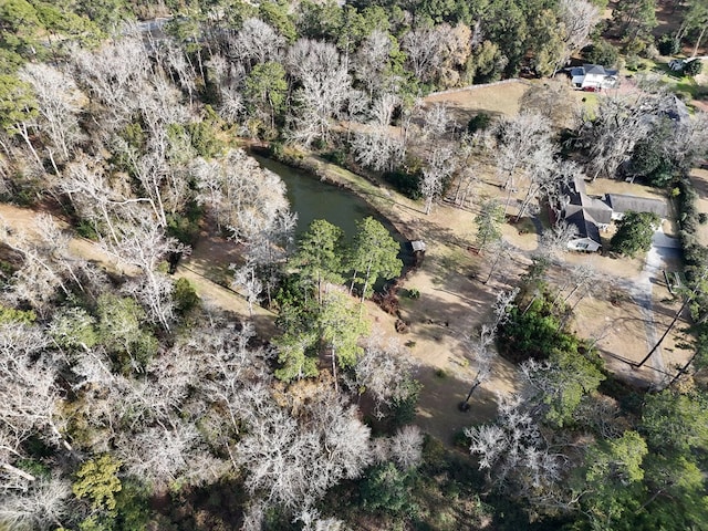 birds eye view of property featuring a view of trees