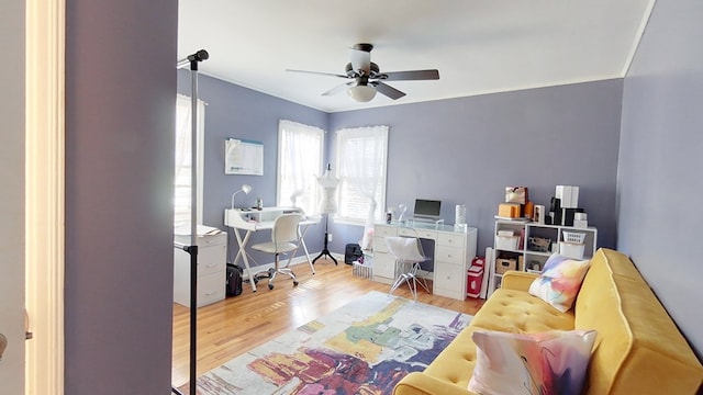 office space with wood-type flooring, ornamental molding, and ceiling fan