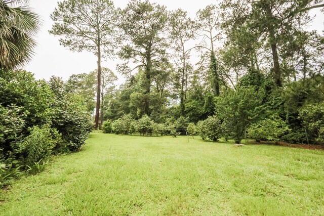 221 Maury St, Thomasville, GA 31792 - photo 29