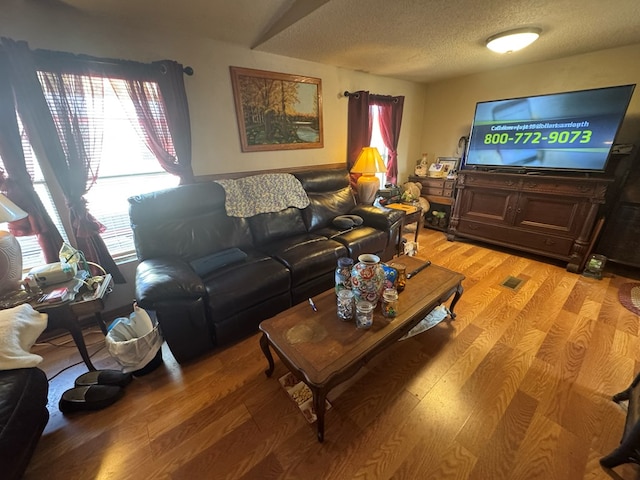 living room featuring wood-type flooring and a textured ceiling