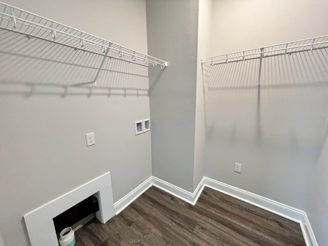 laundry area with dark hardwood / wood-style flooring and hookup for a washing machine