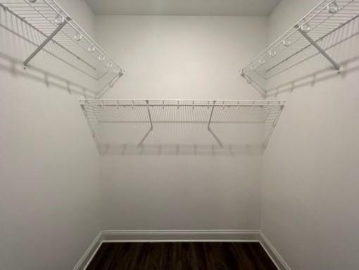 walk in closet with dark hardwood / wood-style floors