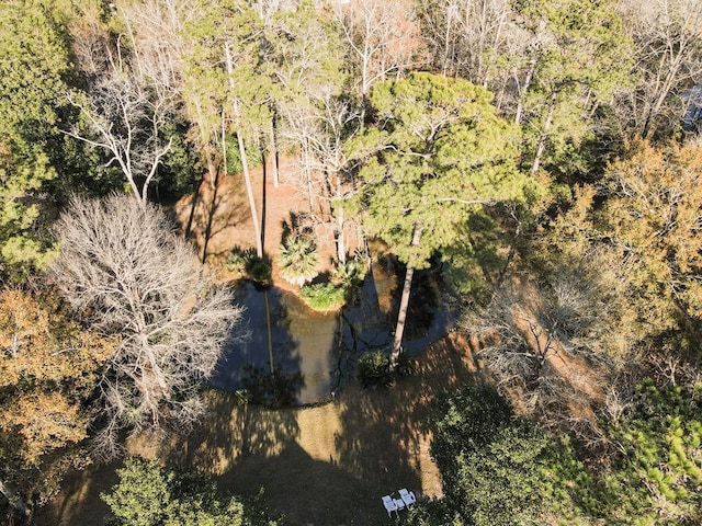 bird's eye view with a forest view