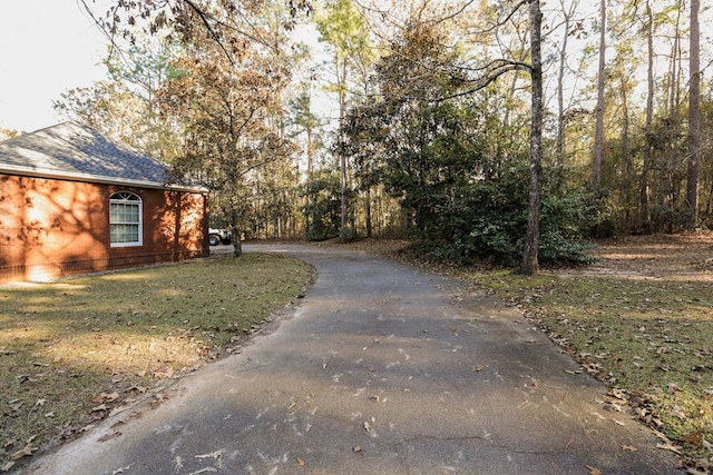 view of road featuring driveway