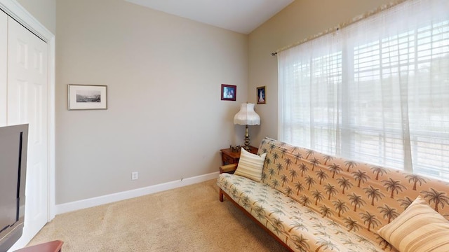139 Summercreek Cv, Thomasville, GA 31792 - living area featuring plenty of natural light and carpet floors