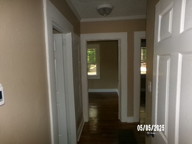 320 Camellia Ct, Camilla, GA 31730 - hallway featuring crown molding, dark wood-style flooring, and baseboards