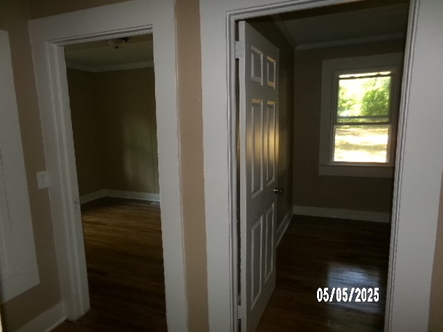 320 Camellia Ct, Camilla, GA 31730 - corridor featuring baseboards, crown molding, and dark wood-type flooring