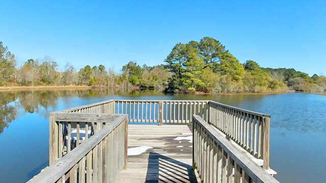 101 Willow Ridge Cir, Thomasville, GA 31757 - photo 81