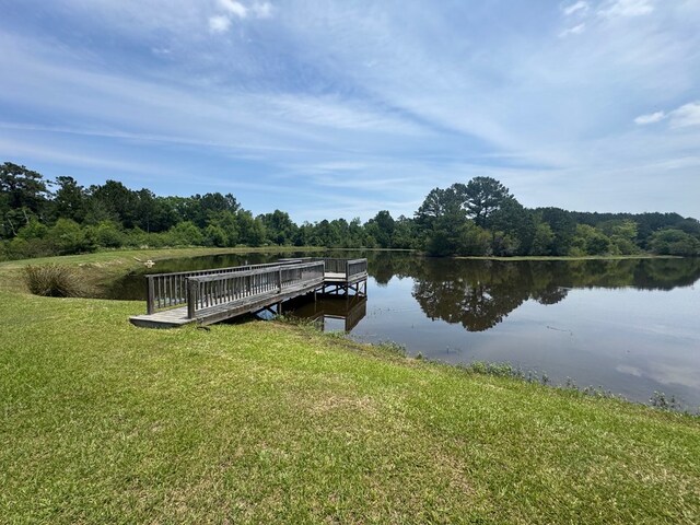 101 Willow Ridge Cir, Thomasville, GA 31757 - photo 89